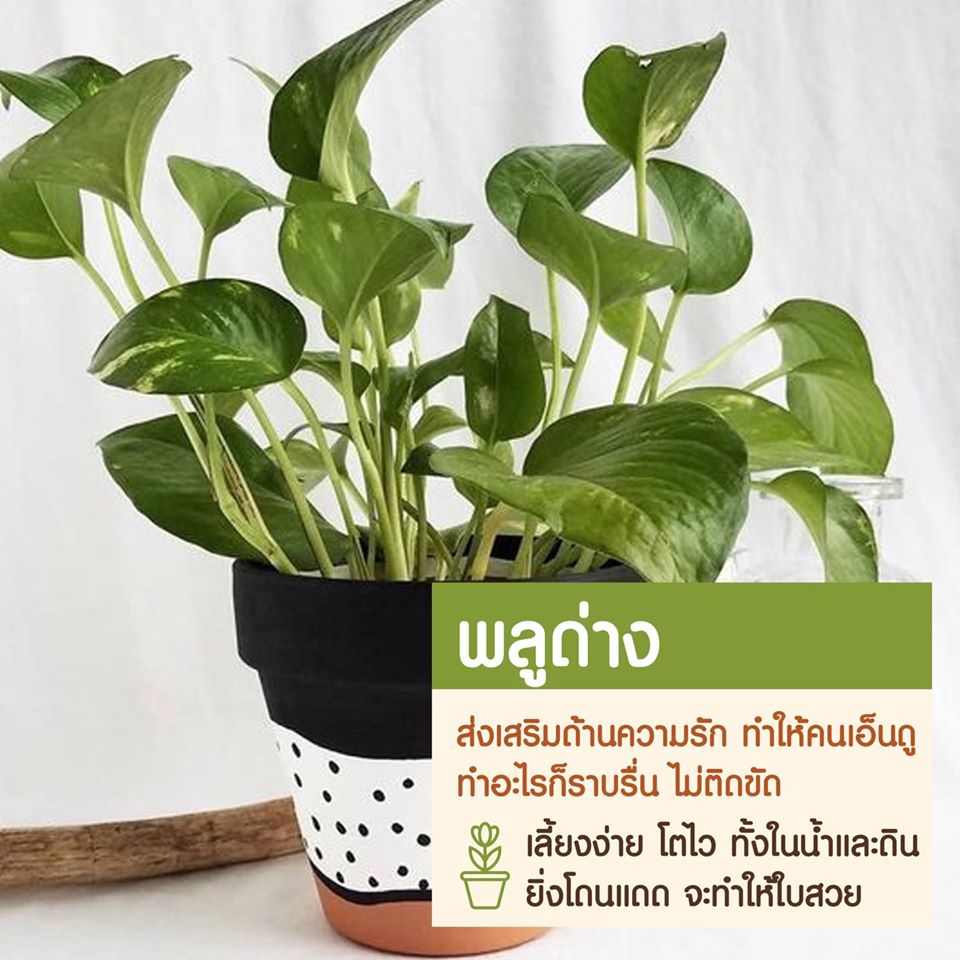 My Image 5